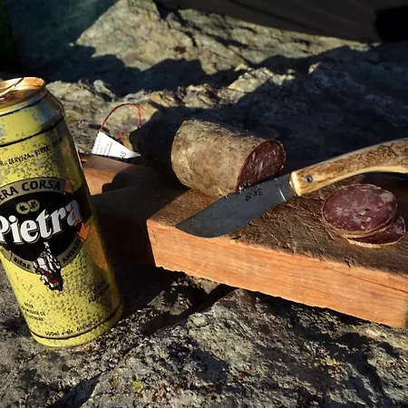 T2 Vue Sur Appartement Porticcio (Corsica)