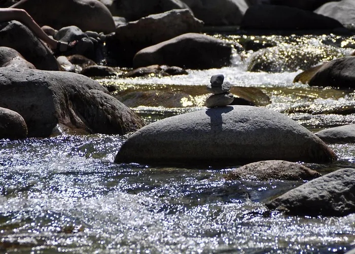 T2 Vue Sur Appartement
