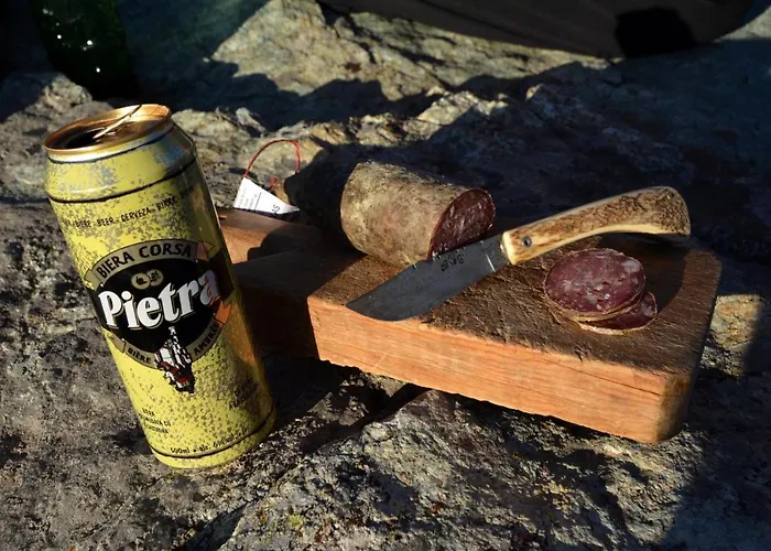 T2 Vue Sur Appartement Porticcio (Corsica)